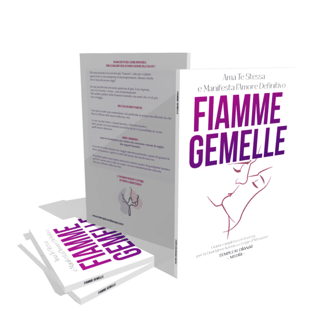 fiamme gemelle libro