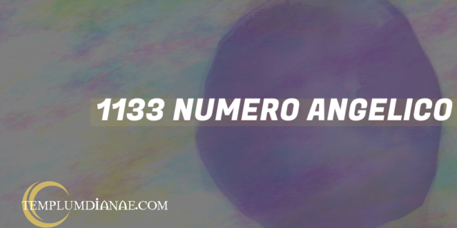 1133 Numero angelico