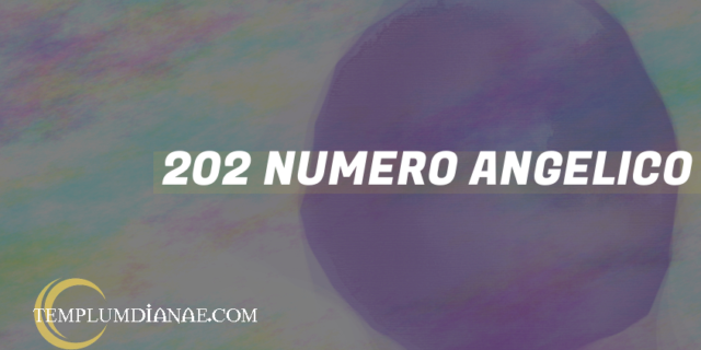 202 Numero angelico