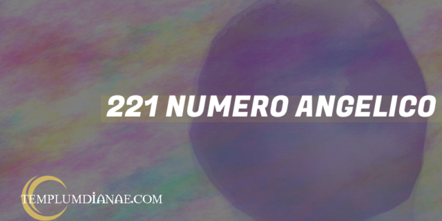 221 Numero angelico