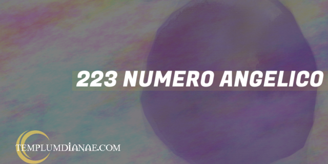 223 Numero angelico