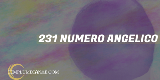 231 Numero angelico