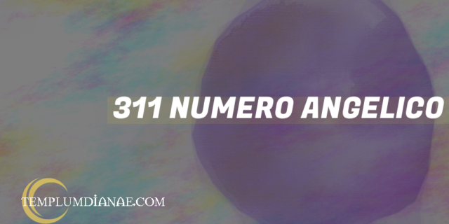 311 Numero angelico