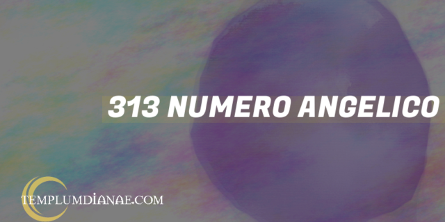 313 Numero angelico