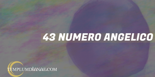 43 Numero angelico