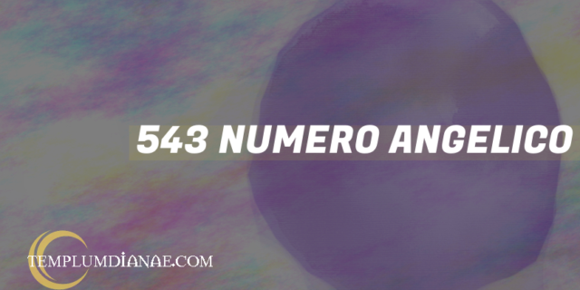 543 Numero angelico