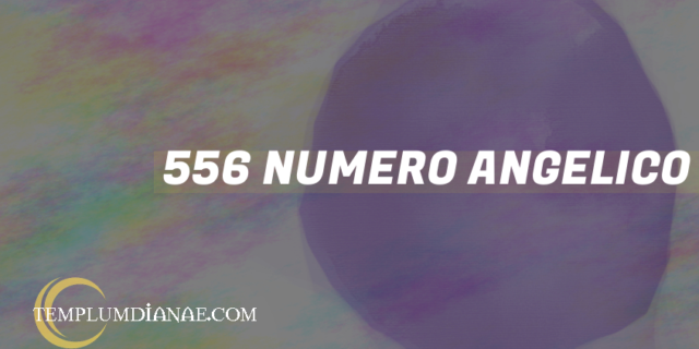 556 Numero angelico