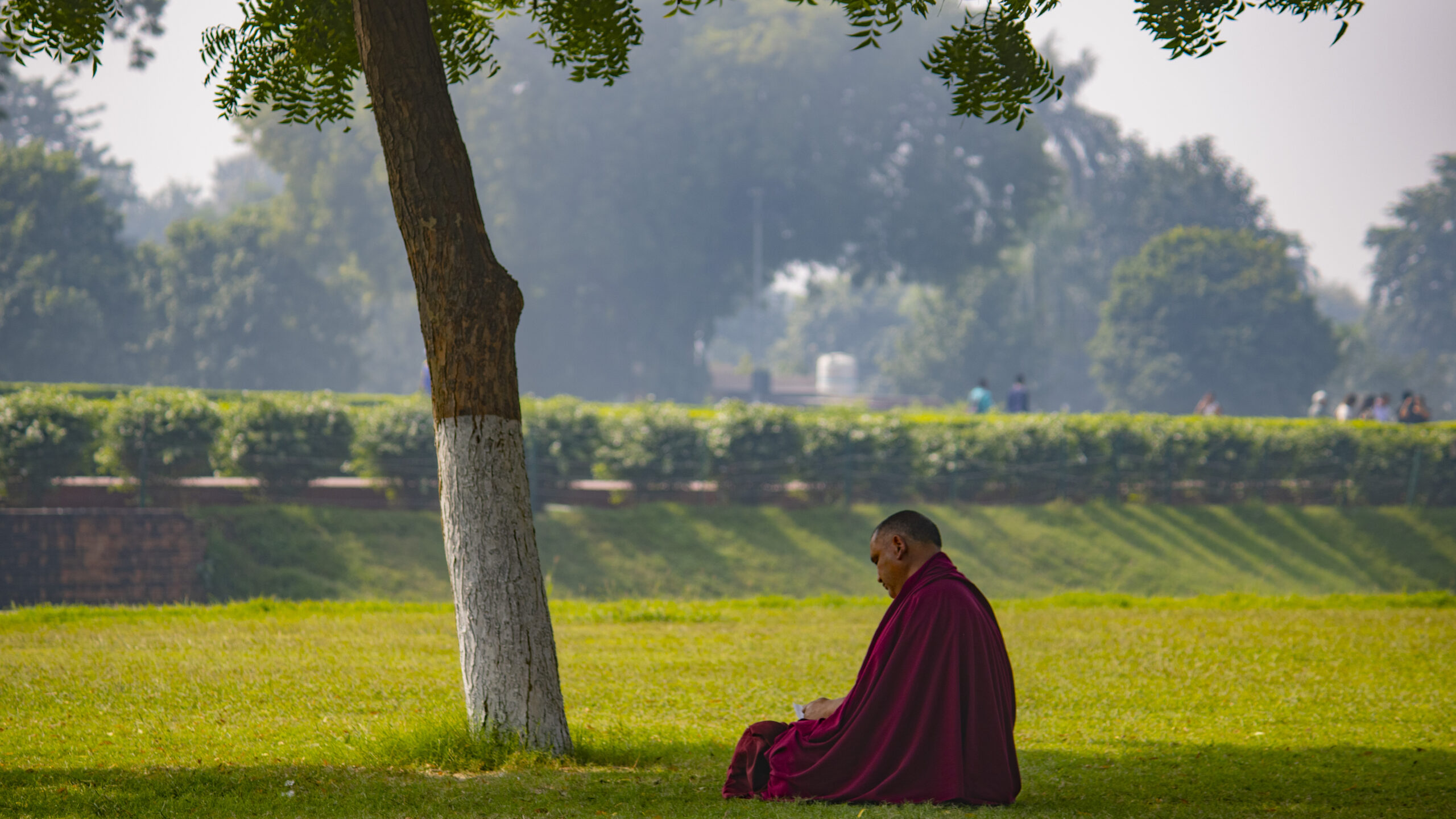 Buddhist monk meditating under a tree in Sarnath, India