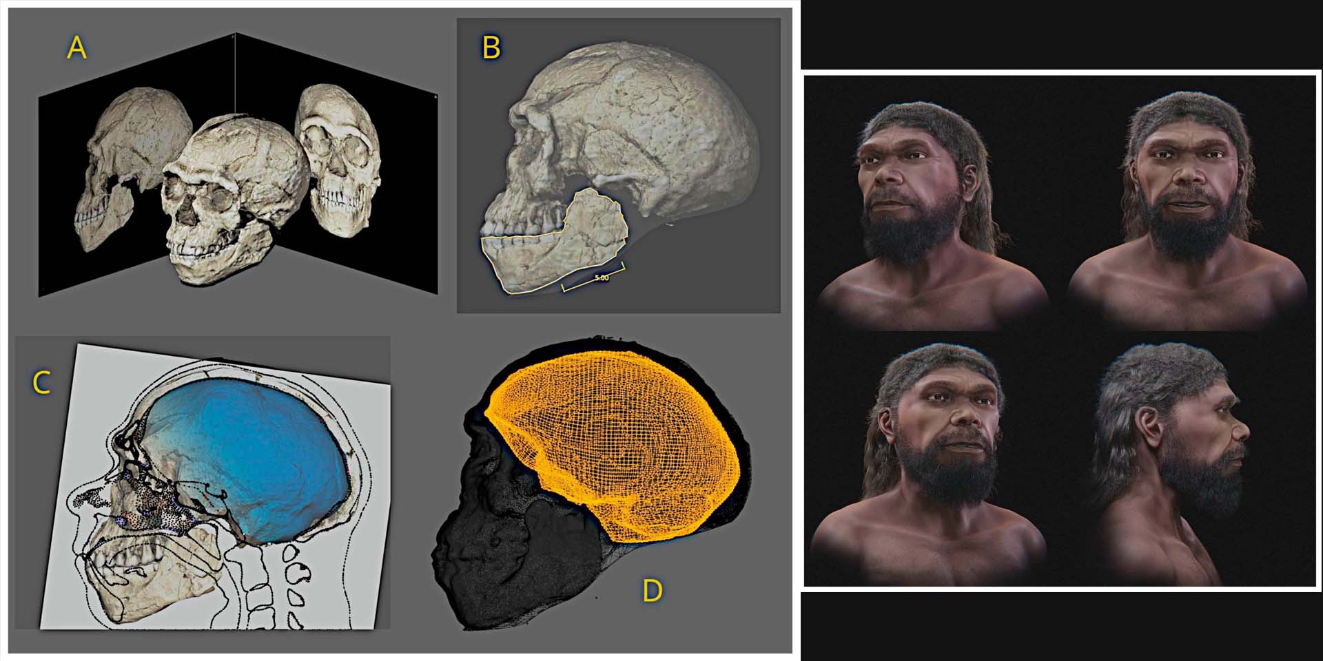 Digital reconstruction of the Jebel Irhoud composite skull and facial approximation