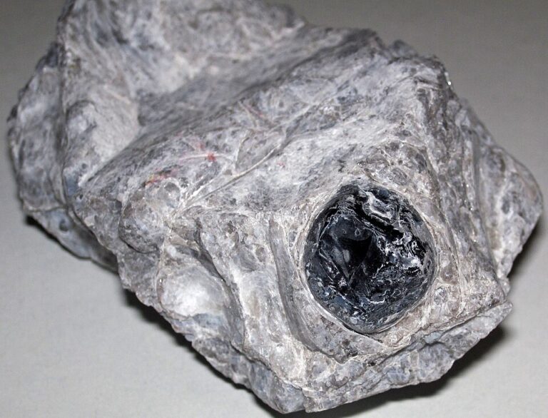 Black Apache tear obsidian nodule embedded in grey perlite rock from Arizona