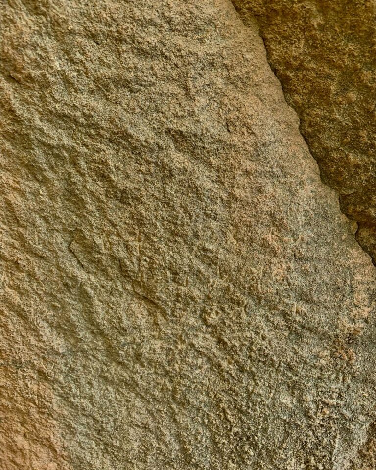 An AI Project Tries to Read the Ancient Edicts of Ashoka From Damaged Stone