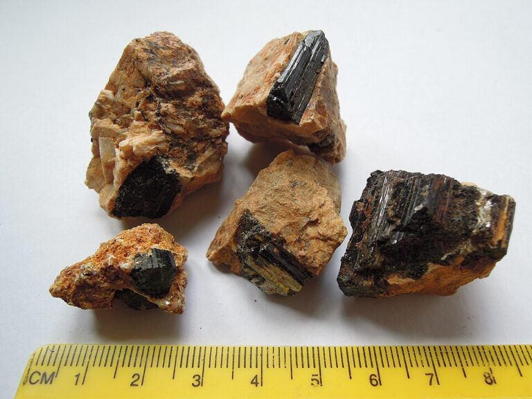 Black Tourmaline Meaning & Properties: Uses, Chakra, Zodiac and Care