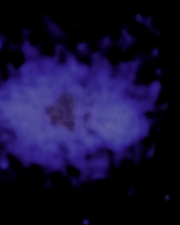 A Cosmic Treble Clef Reveals How Two Galaxy Clusters Collided