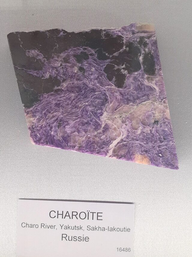 Natural purple charoite stone exhibited at the Musee de Mineralogie Paris