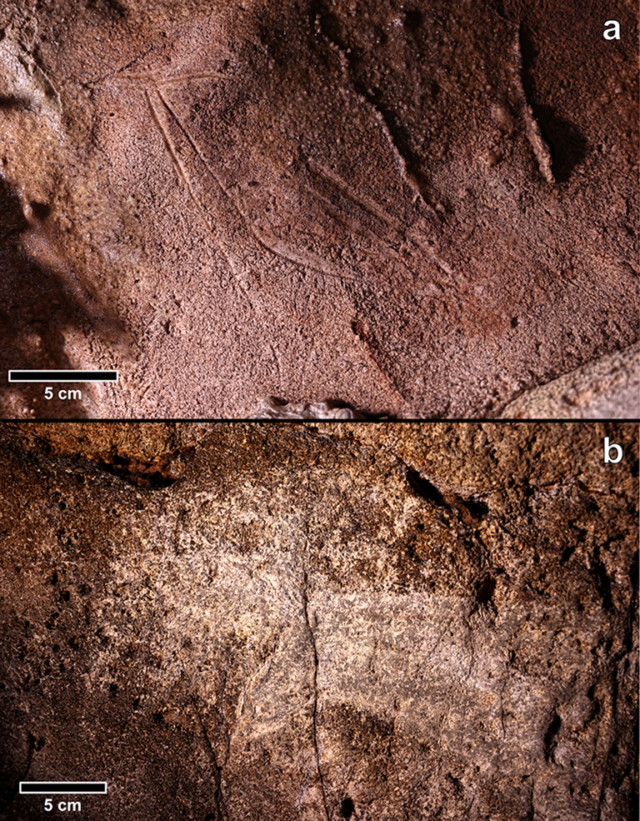 Palaeolithic animal engravings documented in Cova Dones, the cave where Roman goddess inscriptions were later discovered