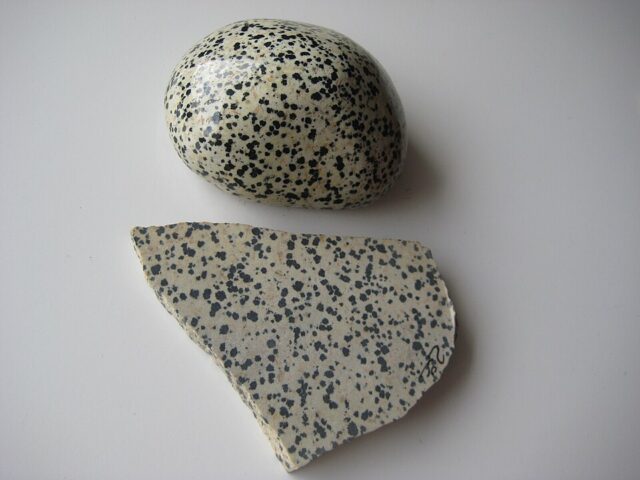 Polished and unpolished Dalmatian stone specimens showing distinctive black spotted rock