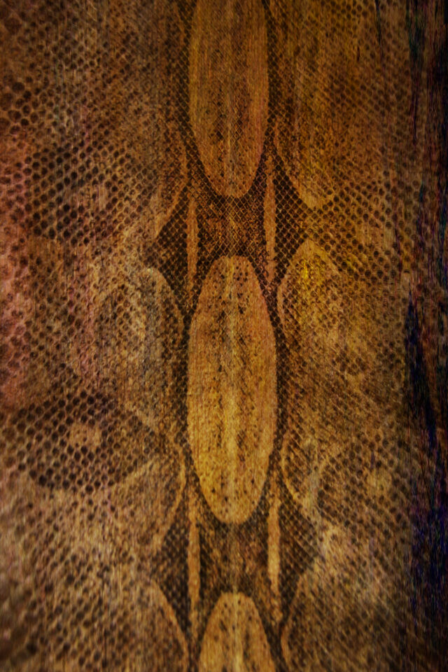 dead snake spiritual meaning
