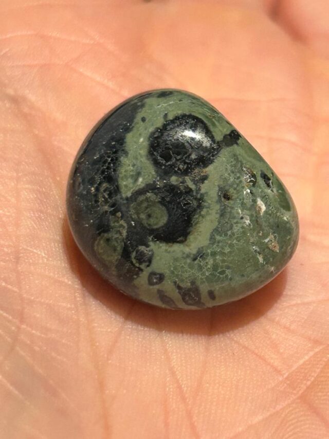 Natural dark green Kambaba Jasper stone showing characteristic circular crocodile jasper patterns