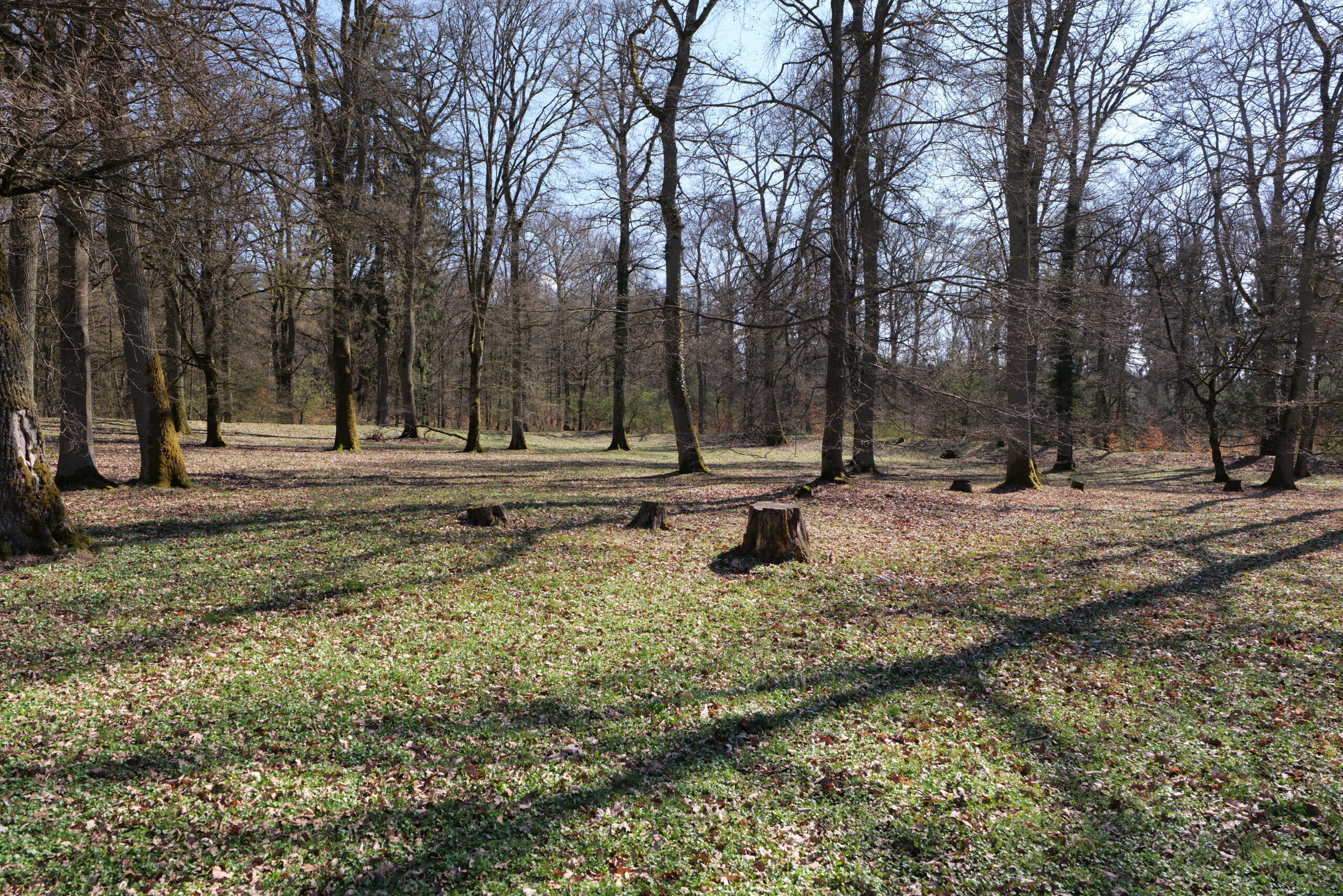 Roman archaeological remains at Kapersburg in Germany’s Taunus region