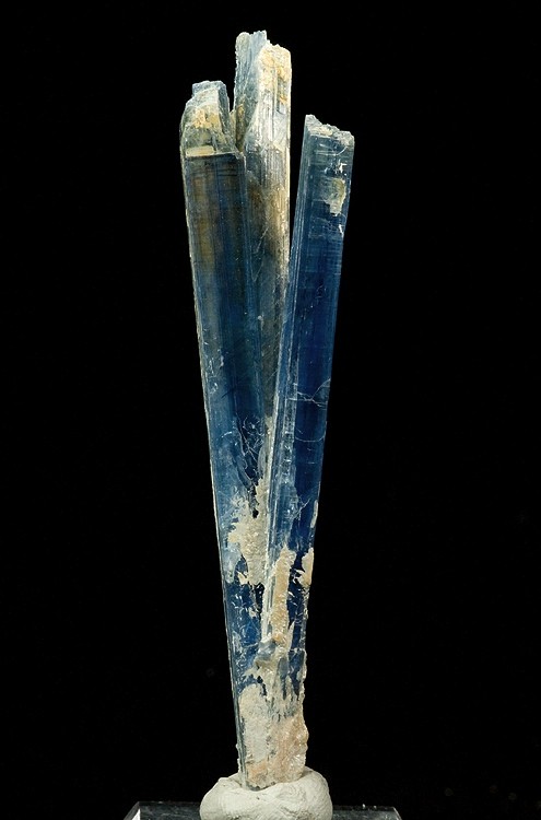 Natural blue kyanite mineral crystal from Minas Gerais, Brazil
