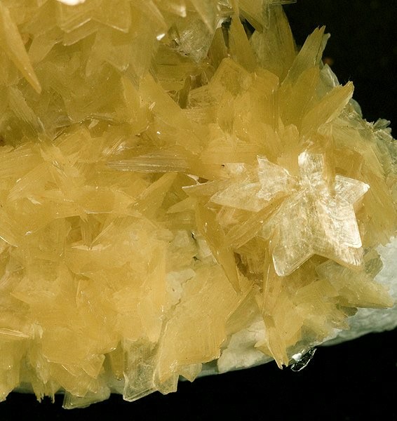 Golden muscovite mica crystals on white feldspar from Coronel Murta, Brazil