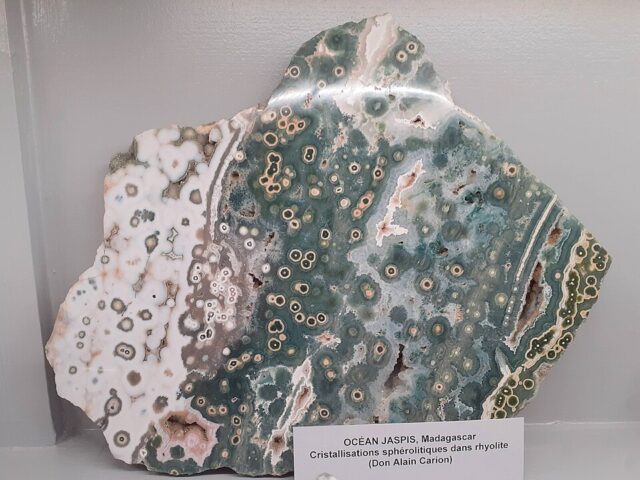 Natural orbicular Ocean Jasper specimen displayed at the Museum of Mineralogy in Paris