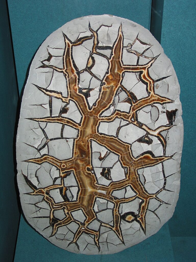 Septarian Meaning & Properties: Uses, Chakra and Care